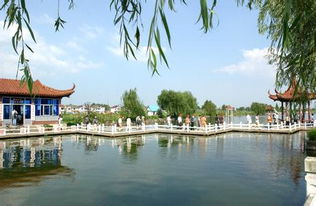 扬中天气预报15天查询百度，扬中天气预报查询