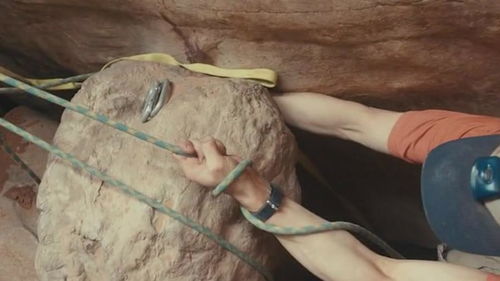 阿伦罗尔斯顿的介绍，阿伦罗尔斯顿写的书