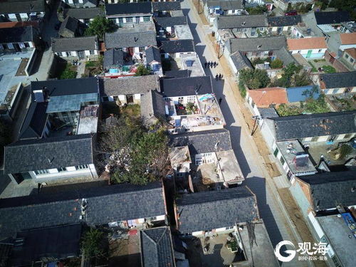 山东省青岛市即墨区金口镇下辖村委会有哪些?