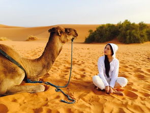 骆驼的骆组词驼组词，骆驼的骆驼组词