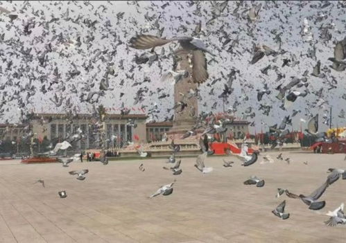 筚路褴褛 这几个字怎么读?读几声? 是什么意思?