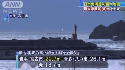 海啸的拼音和意思，海豚的拼音怎么写