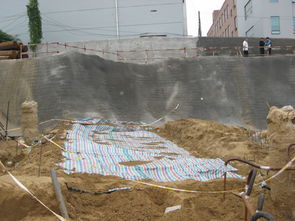 菏泽古沉船的复原计划