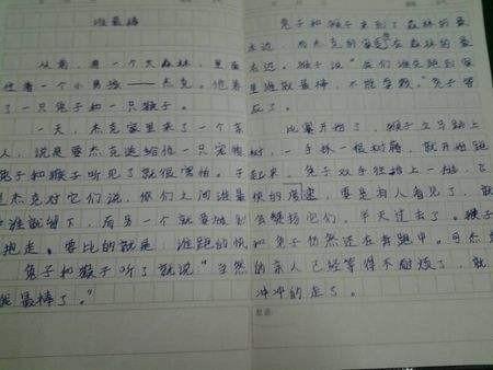 关于《我的偶像》作文500字