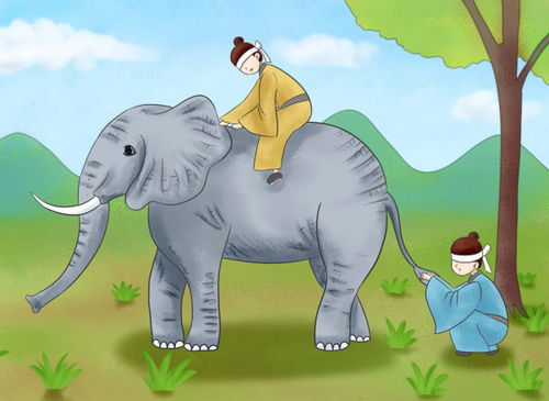 盲苦文言文，盲苦文言文翻译及注音