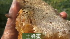 绝句其二杜甫，绝句其三唐杜甫的意思