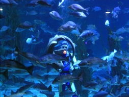 杭州极地海洋世界在哪里，杭州极地海洋世界在哪个位置