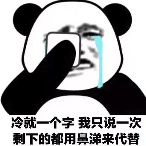 落汤鸡打一数字，落汤鸡指什么生肖