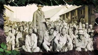 抗战二十年mp3在线听，抗战二十年歌曲黄家驹粤语