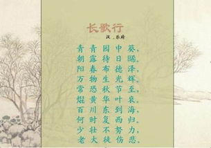 少壮不努力老大徒伤悲是哪一首诗