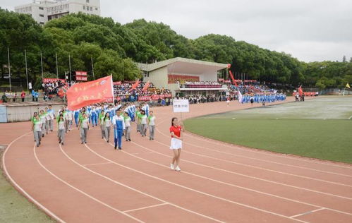 《军中绿花》的歌词