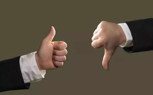 轻蔑词语的近义词是什么