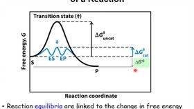 Kinetics 翻译，Kinetics软接头
