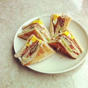 cheese sandwich可数吗，sandwich可数还是不可数?用法是什么?