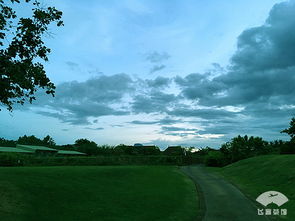 关于美国城市plantation的介绍,介绍的好的话会多给分的。