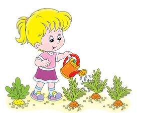 浇花的英文怎么读，浇花的英文进行时