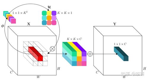 involutional，evolution
