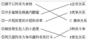 生物寄生关系: 腐生关系: 共生关系: