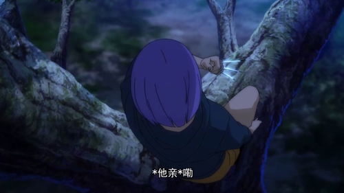 灵长目，灵长类动物包括人类吗