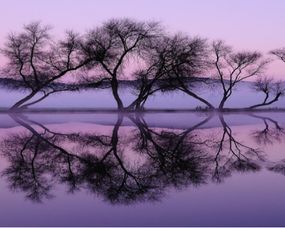 什么的倒影填合适的词语