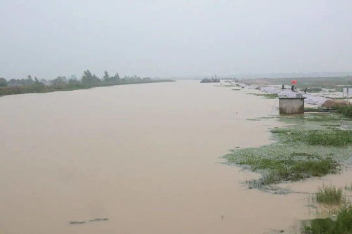 庐江天气预报30天查询，庐江天气预报15天查询合肥
