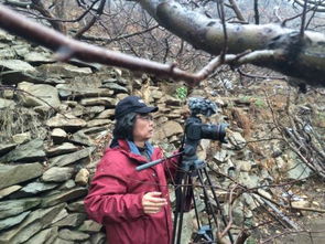 淅沥的意思解释是什么