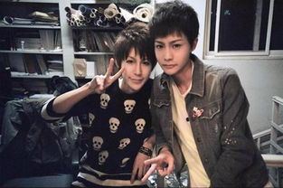 雅俊风扇怎么调光