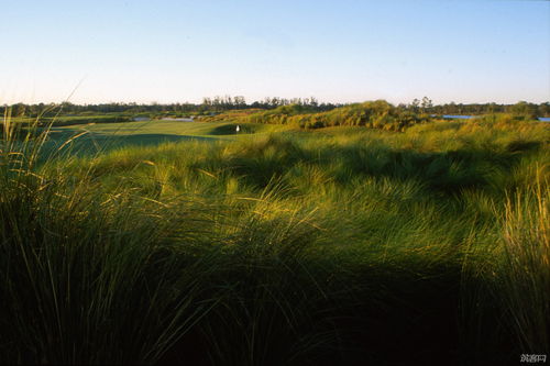 plantation翻译，plantation drive