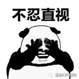 看见蟑螂我不怕不怕了，不怕不怕啦