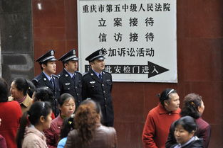 高圆圆为什么不敢去重庆