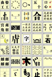 表示理解的成语，很了解的成语