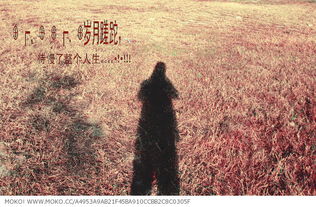 心殇是什么意思