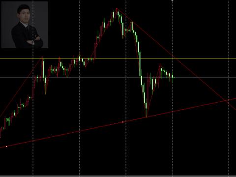 雏形是什么意思