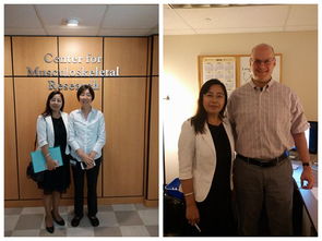 inhibit和prohibit的区别是什么