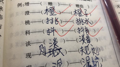 仅可以组什么词语