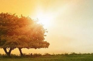 珍惜生命预防溺水作文300字