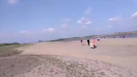 呼兰河传主要内容，呼兰河传的作者是谁