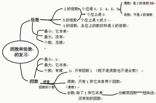 因数是什么意思数学三年级，因数是什么意思数学四年级