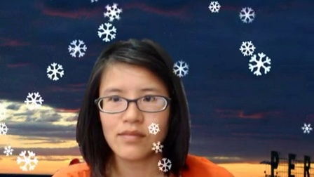 flakes是什么意思啊，flake off