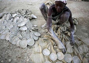 坟墓葬了之后都是烂泥巴好不好呀