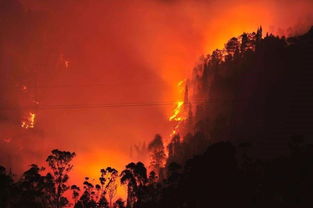 2020年四川西昌大火，西昌大火是什么原因造成的
