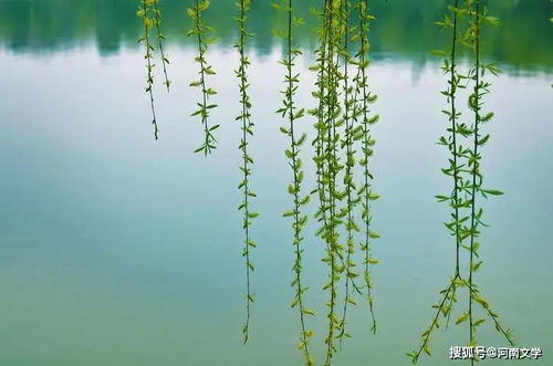 春风春雨春色 新年新岁新景什么意思