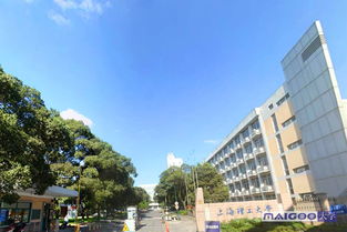 全国前十名理工大学，上海工程大学是几本?