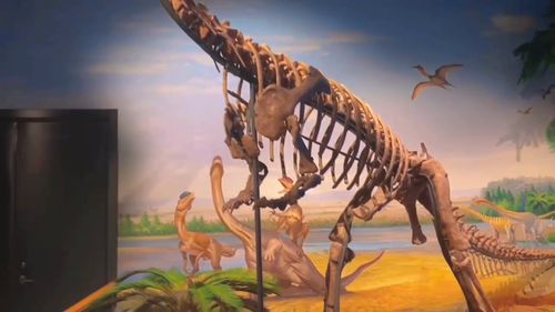 什么龙什么脉，什么龙什么虎四字成语