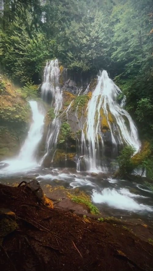 高山流水遇知音的全文是什么?