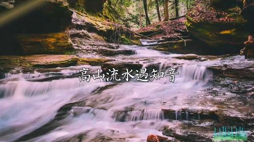 高山流水遇知音的故事，高山流水遇知音,彩云追月得知己的意思