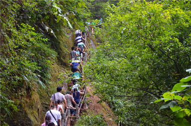 天梯爱情故事是真的吗，天梯爱情电影