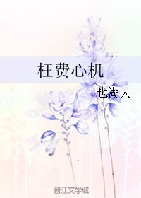 枉费心机的意思是什么?，枉费心机褒义还是贬义