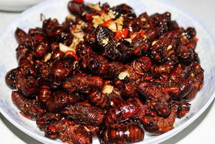 黢怎么读 黢如何读