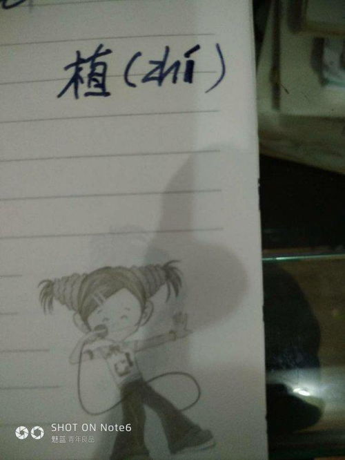 棋的拼音，旅的拼音